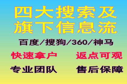SEM运营公司成功案例解析